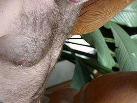 049.jpg